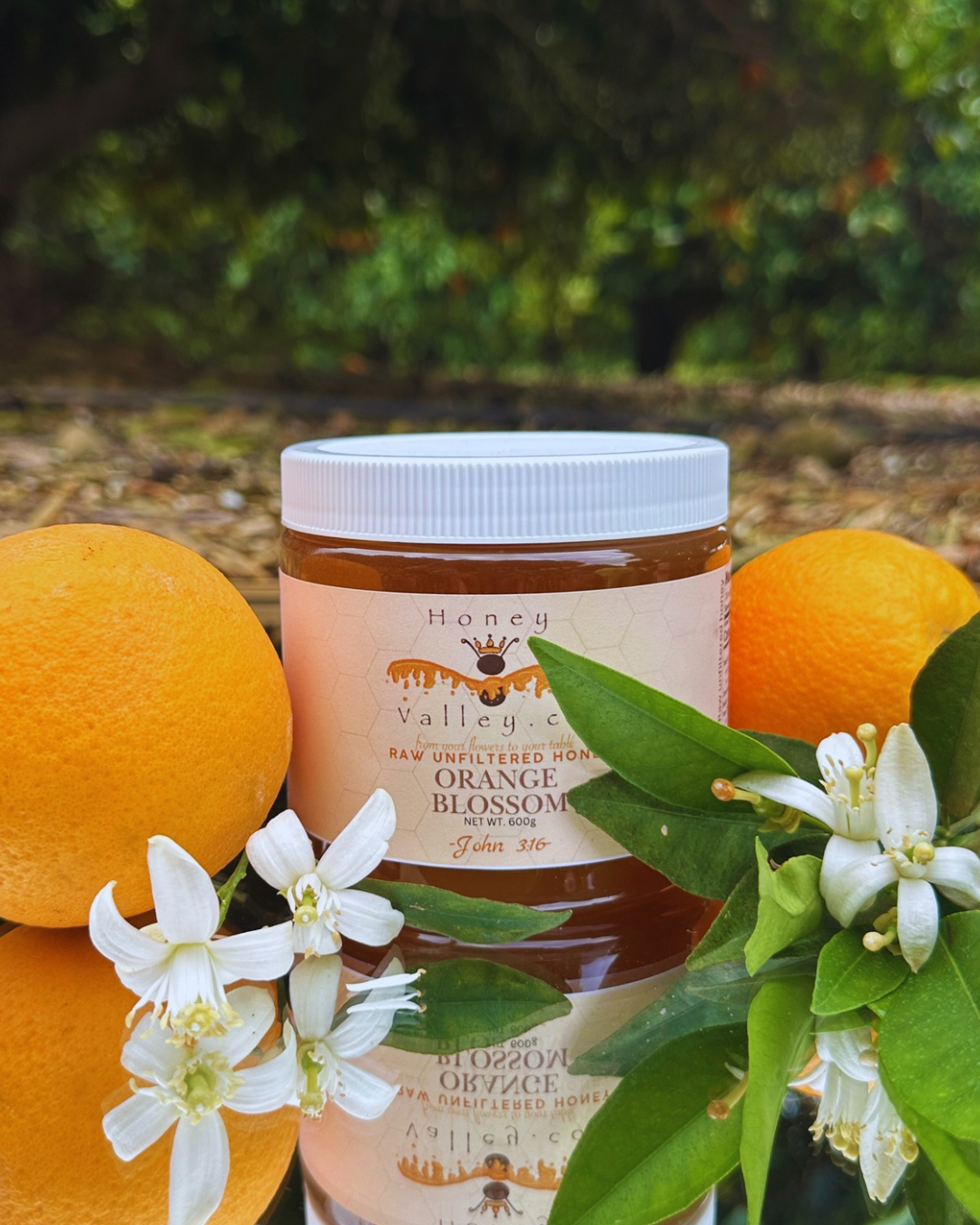 Orange Blossom