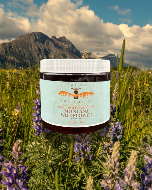 Montana Wildflower