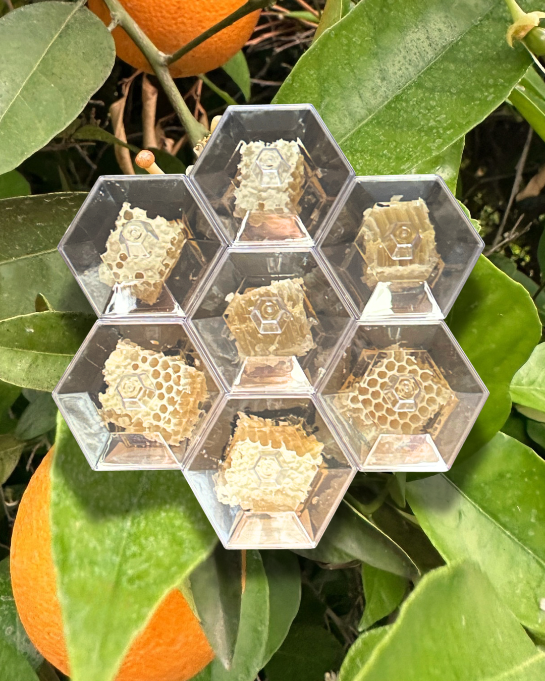 Honeycomb