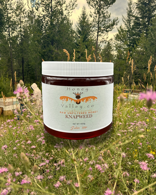 Knapweed