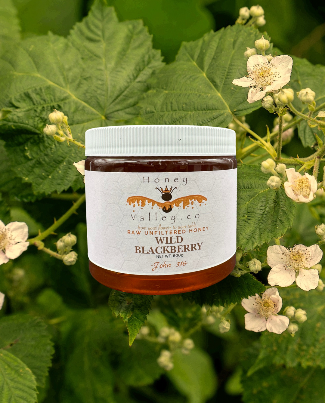 Wild Blackberry
